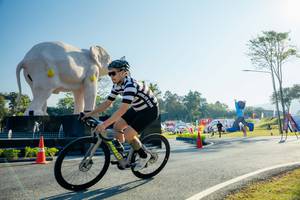 BIB: 
                            <button type="button" onclick="openModal(26183012)" class="btn btn-primary btn-sm float-right btn-popup" data-toggle="modal" data-target=".modal-high-quality">
                        <i class="fas fa-shopping-cart"></i> Add to Cart
                    </button>
                                            <button type="button" onclick="isThisMe(26183012, true)" class="btn btn-success btn-sm float-right btn-popup btn-isme hidden" data-toggle="tooltip" data-placement="bottom" title="นี่คือรูปของคุณใช่ไหม คลิกที่นี่เพื่อเอาเข้าอัลบั้ม">
                        <i class="fas fa-plus"></i> Add to album
                    </button>
                    <button type="button" onclick="isThisMe(26183012, false)" class="btn btn-warning btn-sm float-right btn-popup btn-isnotme hidden">
                        <i class="fas fa-ban"></i> Remove from album
                    </button>